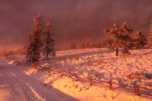 winter, Snow, Landscape, Nature, Trees