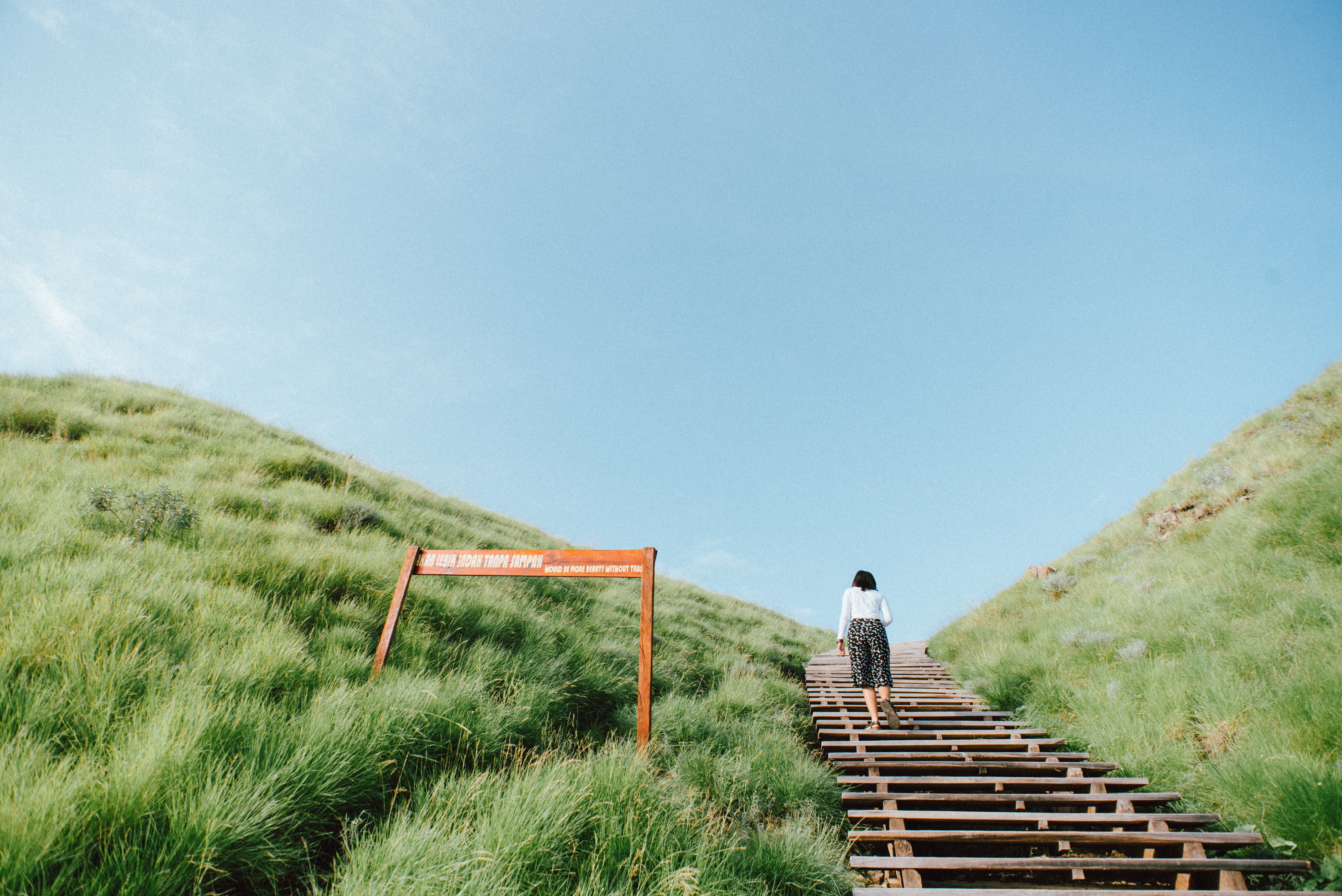 landscape, Ladder, Grass, Clear sky Wallpaper