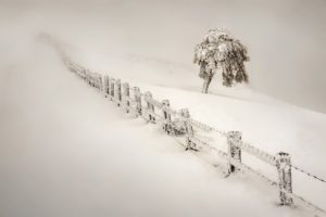 winter, Snow, Nature, Landscape, Fence, Trees, Mist