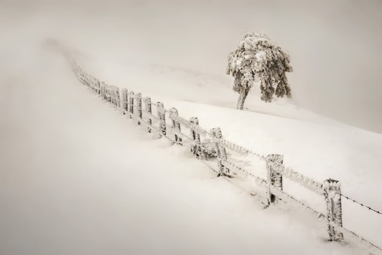 winter, Snow, Nature, Landscape, Fence, Trees, Mist HD Wallpaper Desktop Background