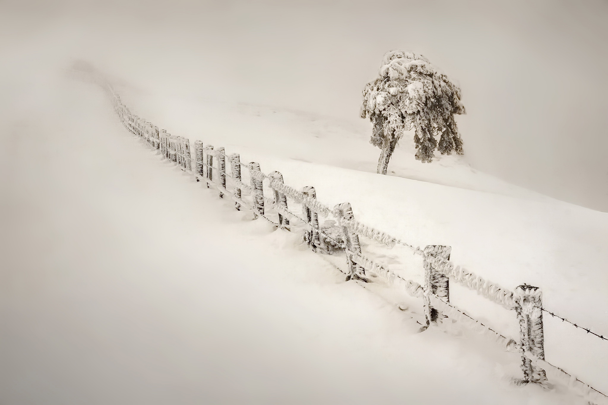 winter, Snow, Nature, Landscape, Fence, Trees, Mist Wallpaper