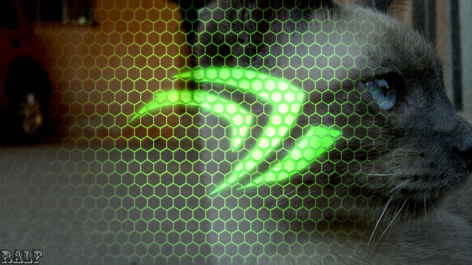Nvidia Wallpaper