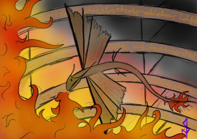 dragon, Fire HD Wallpaper Desktop Background