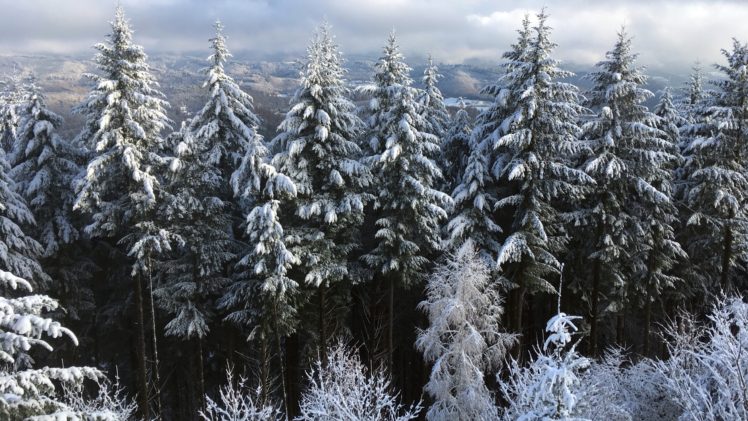 trees, Winter, Snow, Landscape, Nature, Clouds HD Wallpaper Desktop Background