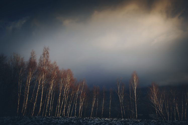 nature, Trees, Landscape, Sky HD Wallpaper Desktop Background