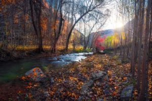 colorful, Nature, Fall, Landscape