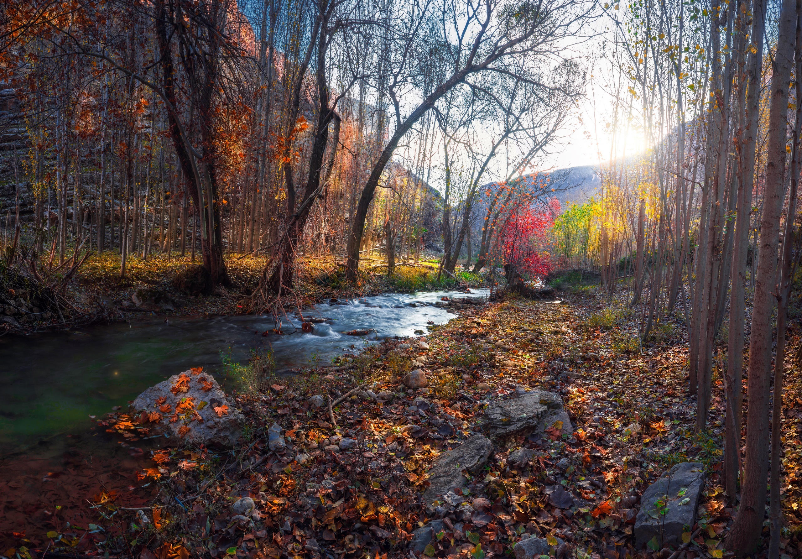 colorful, Nature, Fall, Landscape Wallpaper