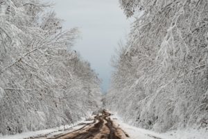 winter, Dirt road, Trees, Snow, Path