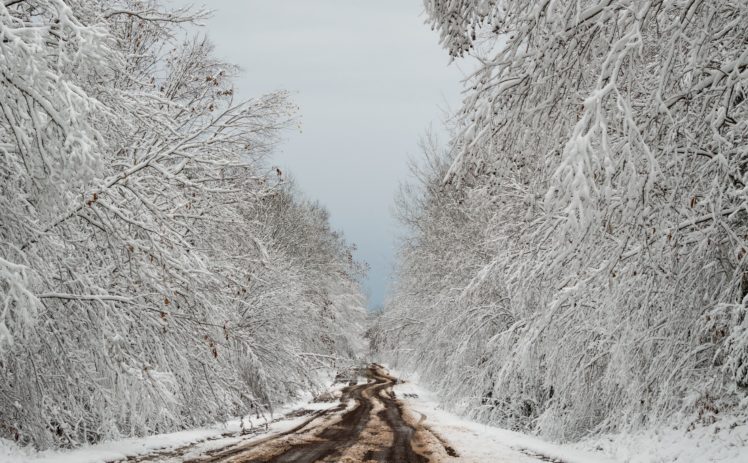 winter, Dirt road, Trees, Snow, Path HD Wallpaper Desktop Background