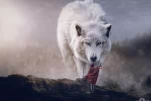 wolf, Digital art, Sciencie fiction adventures, Polar wolf