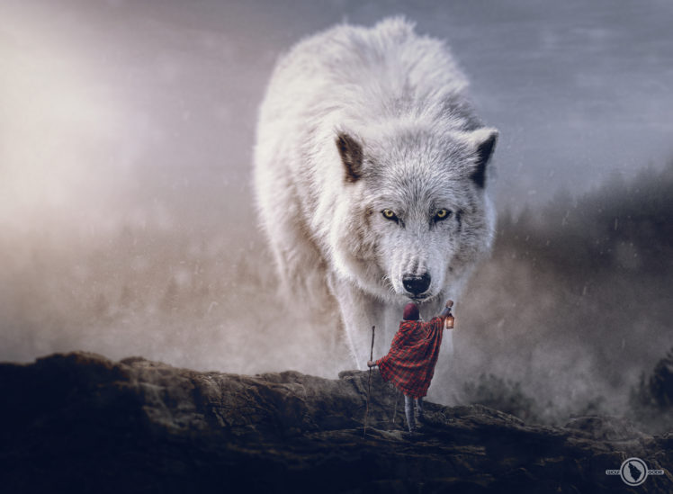 wolf, Digital art, Sciencie fiction adventures, Polar wolf Wallpapers HD /  Desktop and Mobile Backgrounds