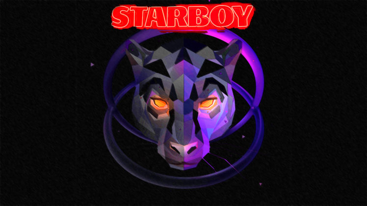 starboy, Panthers, XO HD Wallpaper Desktop Background