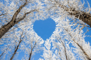 heart, Nature, Forest, Snow