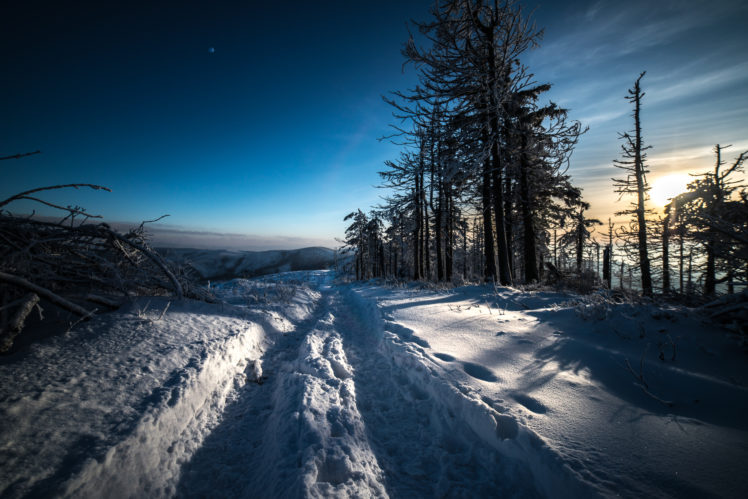 snow, Winter, Landscape, Path, Trees, Sky HD Wallpaper Desktop Background