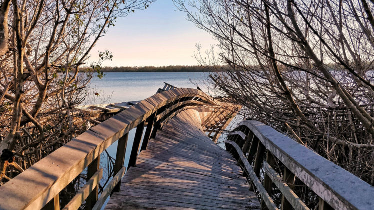 nature, Warp, Dock, Lake, Trees HD Wallpaper Desktop Background