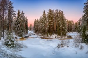 nature, Snow, Landscape, Winter, River, Forest