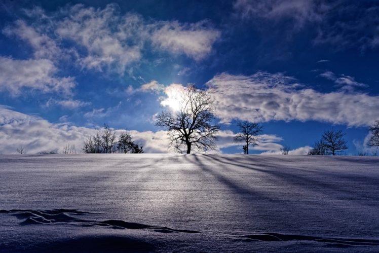 landscape, Nature, Blue, Sky, Winter, Snow, Trees HD Wallpaper Desktop Background
