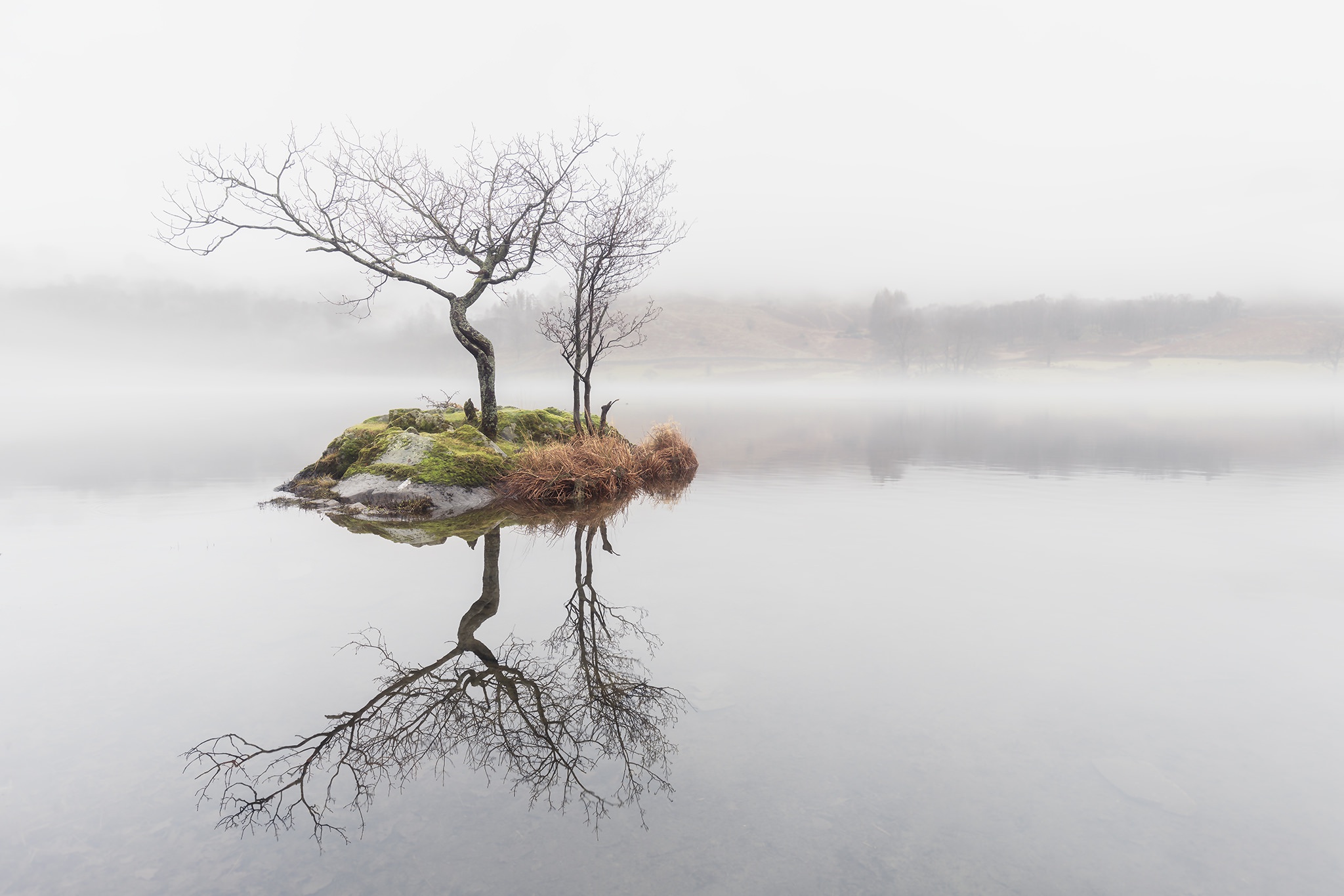 nature, Water, Mist, Trees, Reflection Wallpaper