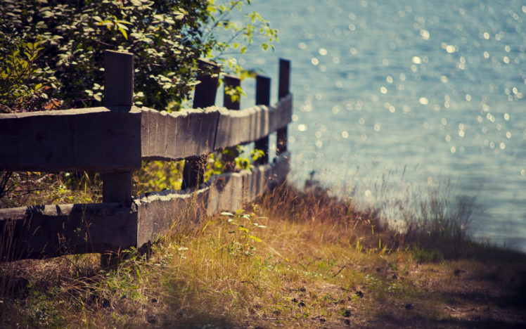 nature, Summer, Fence, Grass, Plants, Lake HD Wallpaper Desktop Background