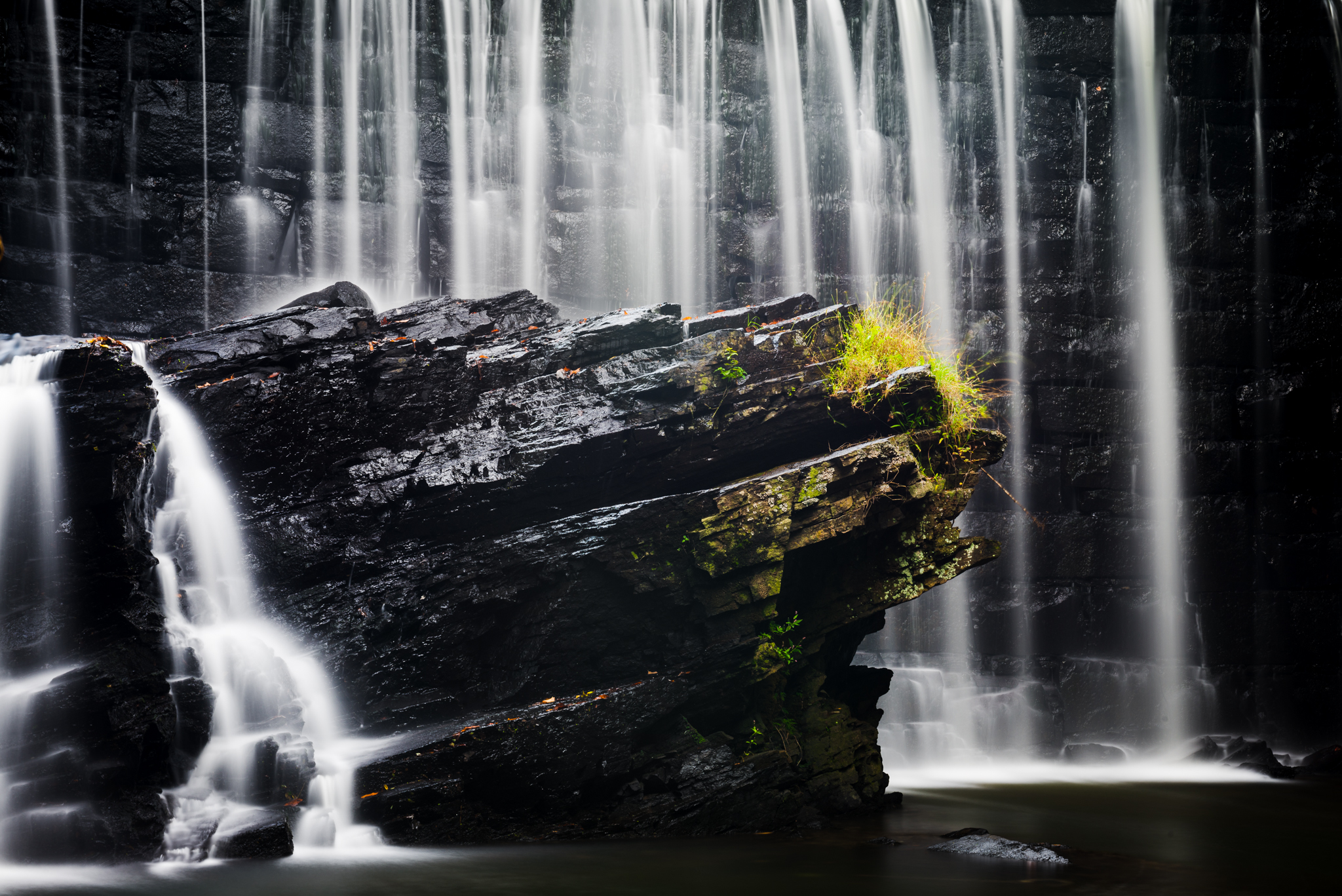 waterfall, Plants, Nature Wallpaper