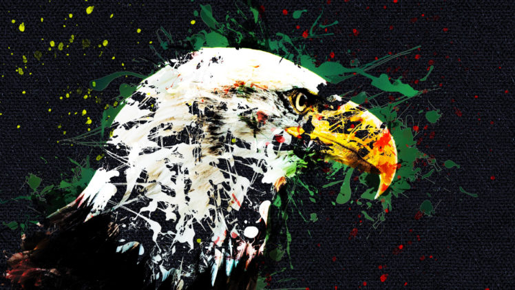 animals, Birds, Eagle, Digital art, Artwork, Paint splatter, Canvas HD Wallpaper Desktop Background