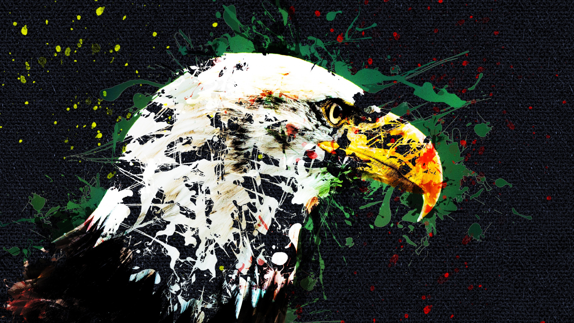 animals, Birds, Eagle, Digital art, Artwork, Paint splatter, Canvas Wallpaper