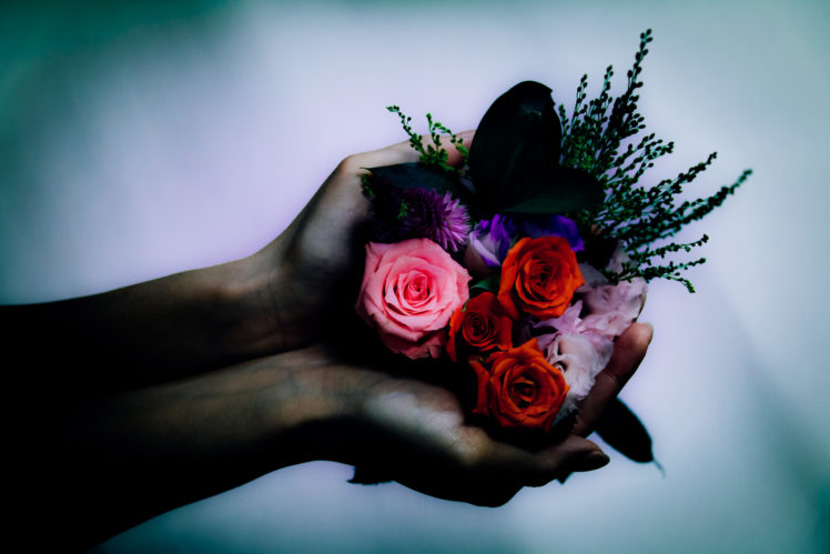 Koukichi Takahashi, Hands, 500px, Flowers HD Wallpaper Desktop Background