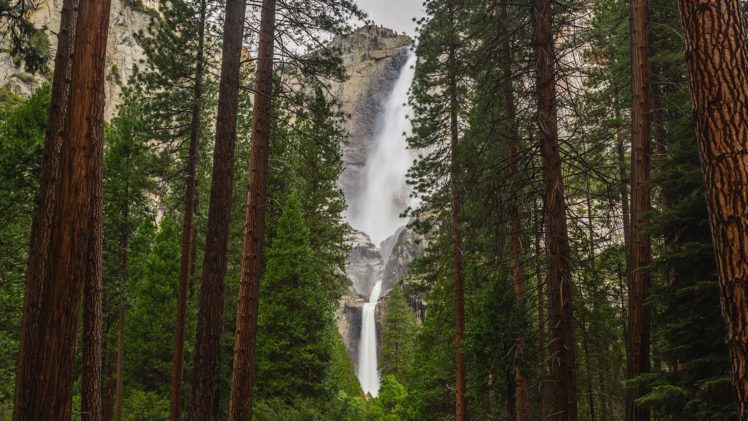 landscape, Waterfall, Forest HD Wallpaper Desktop Background