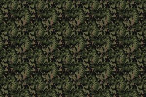 Arma 3, Camouflage