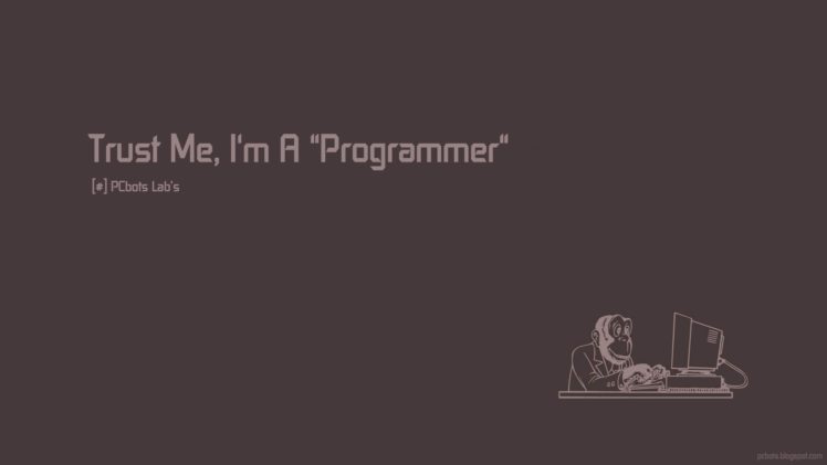 programmers, Humor, Monkey, Computer HD Wallpaper Desktop Background