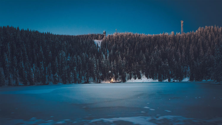 forest, Night, Blue, Snow, Ice HD Wallpaper Desktop Background