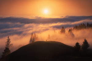 Michael Shainblum, Men, Nature, Landscape, Mist, Trees, Hills, Sun, San Francisco, USA, Clouds