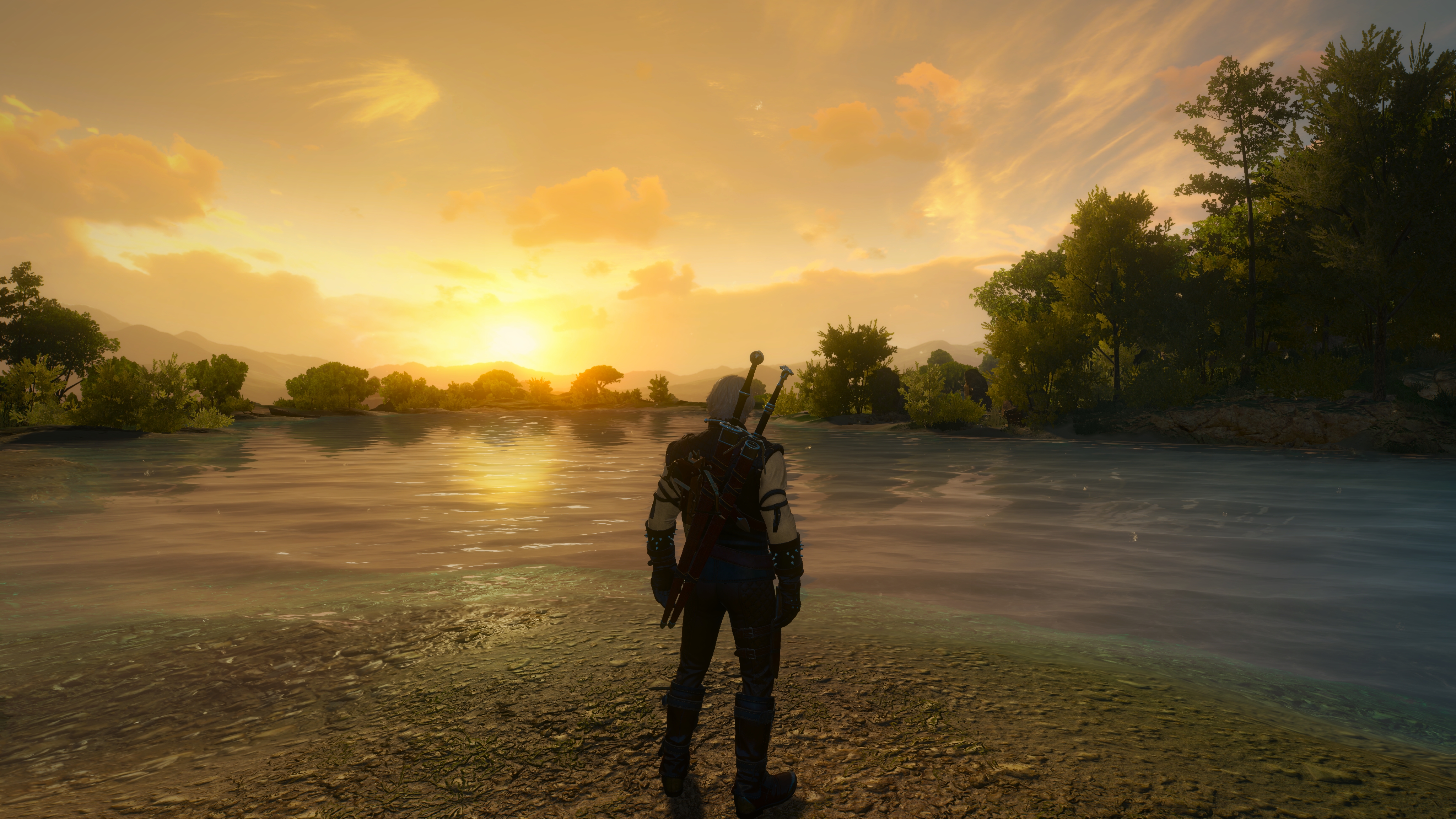 Nvidia geforce the witcher 3 фото 95