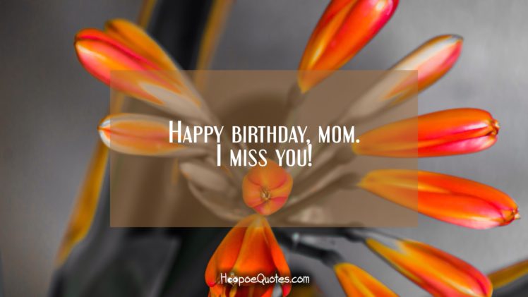happy birthday, Birthday, Hoopoequotes HD Wallpaper Desktop Background