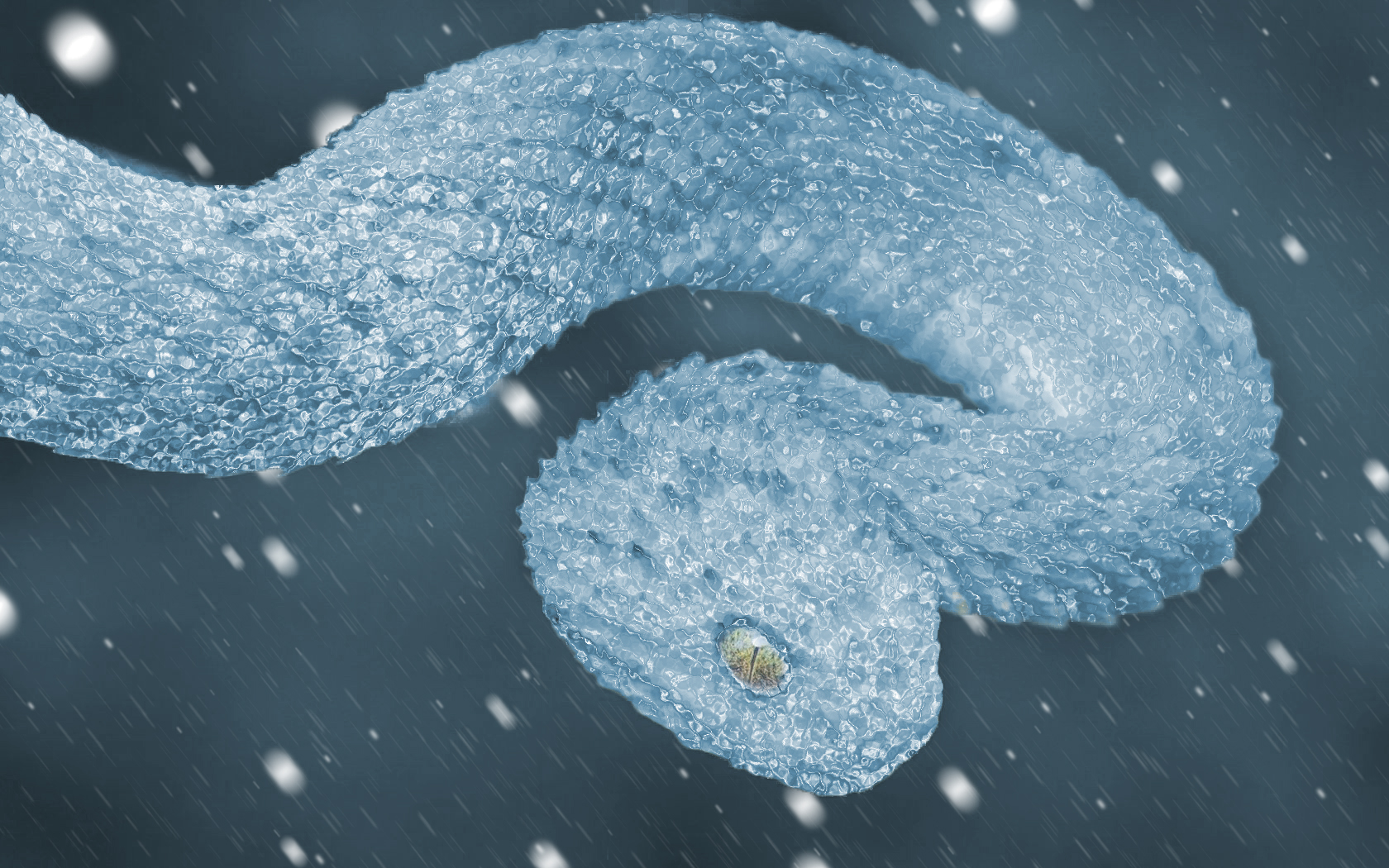 snake, Ice, Snow, Winter, Frost Wallpaper