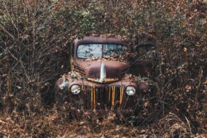 old, Rust, Plants, Car, Vehicle, Wreck