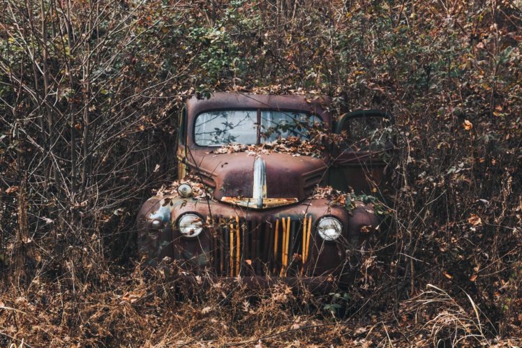 old, Rust, Plants, Car, Vehicle, Wreck HD Wallpaper Desktop Background