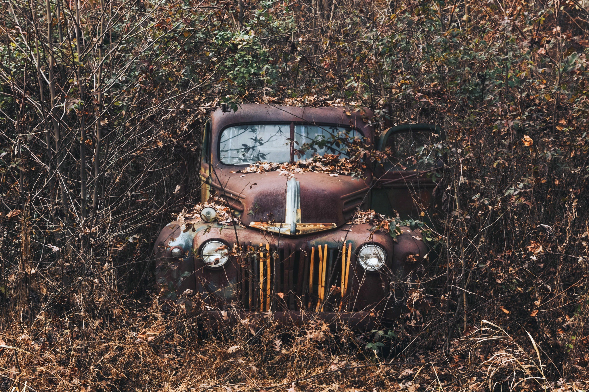 old, Rust, Plants, Car, Vehicle, Wreck Wallpaper