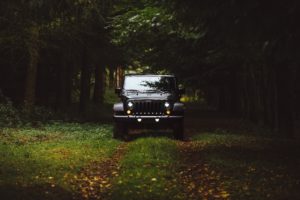 Jeep, Jeep Wrangler, Forest, Nature, Grass