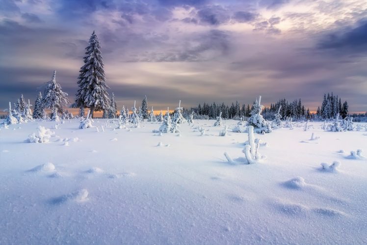 snow, Winter, Landscape, Nature HD Wallpaper Desktop Background