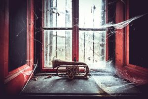 musical instrument, Window, Spider webs