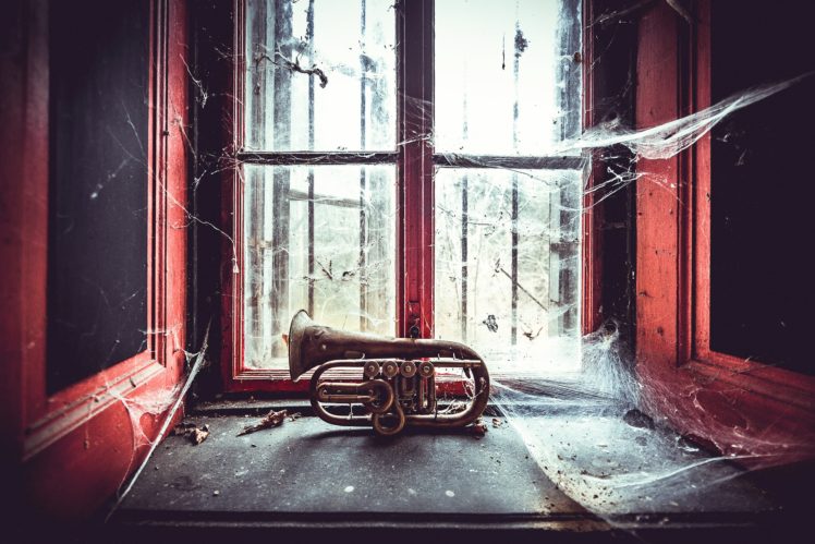 musical instrument, Window, Spider webs HD Wallpaper Desktop Background