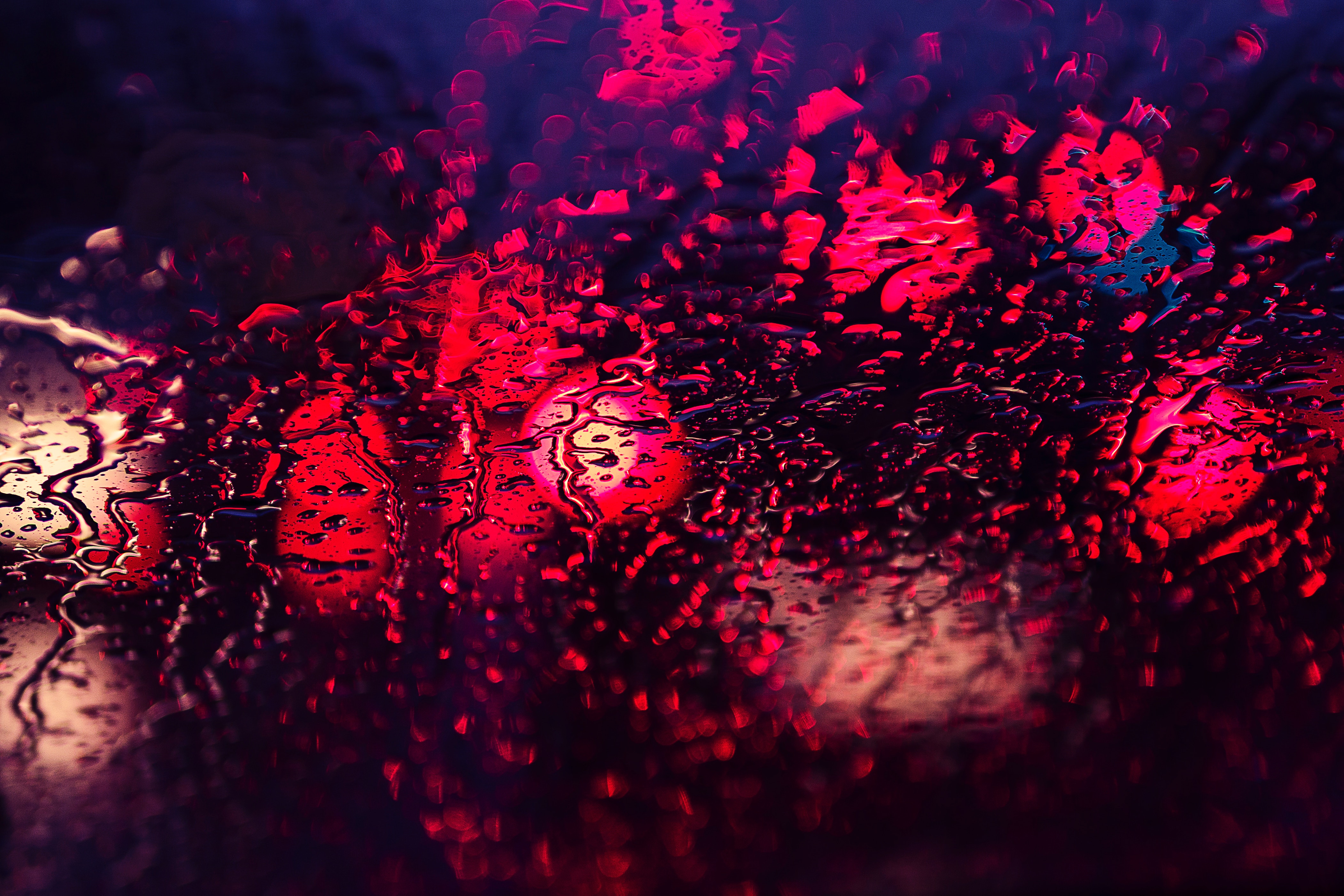 Michal Grosicki, Red, Water drops, Window Wallpaper