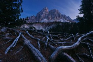 dark, Mountains, Nature, Wood, Trees, Roots