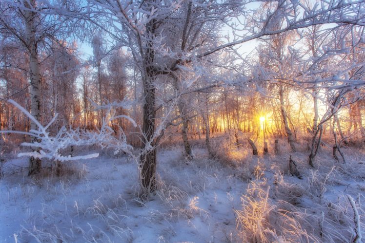 snow, Winter, Sunlight, Landscape, Nature HD Wallpaper Desktop Background