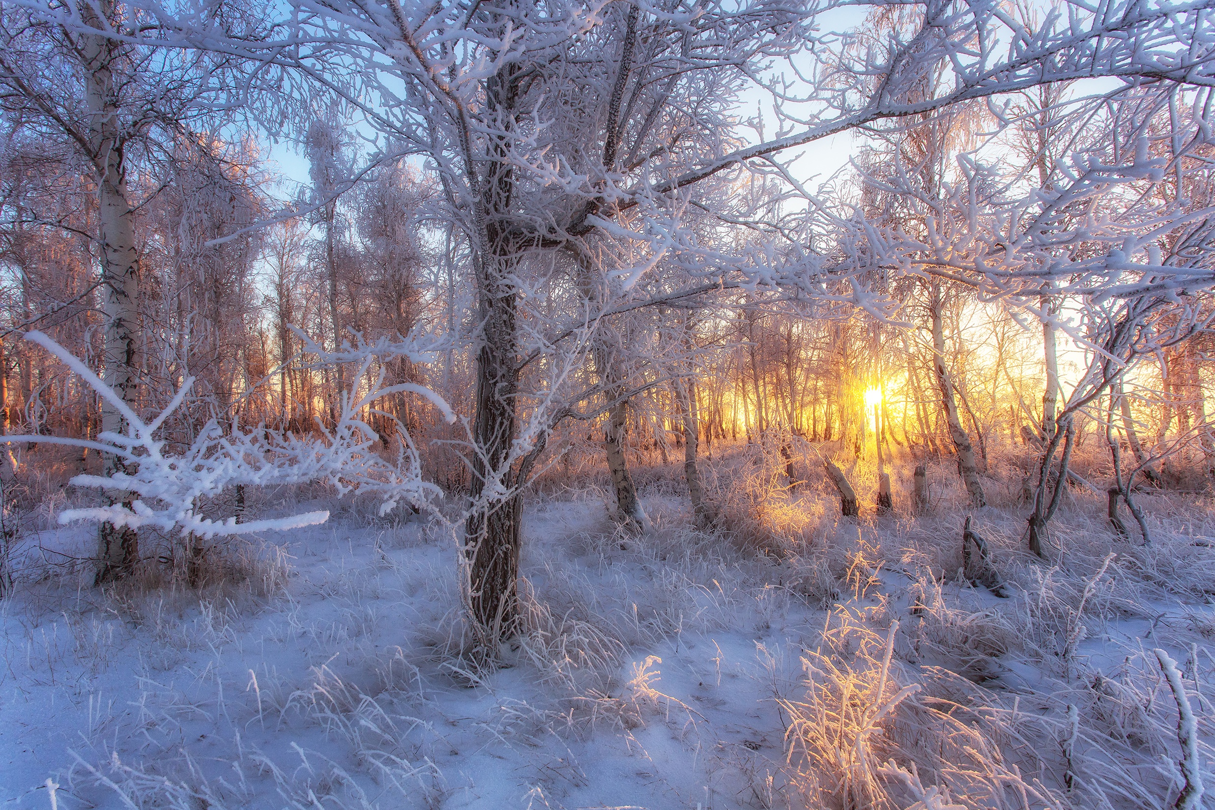 snow, Winter, Sunlight, Landscape, Nature Wallpaper