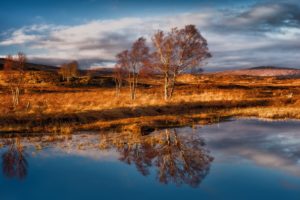 reflection, Blue, Water, Trees, Landscape, Scotland, Nature