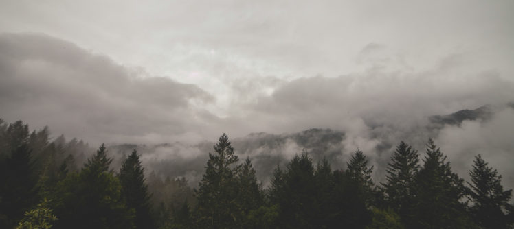 trees, Mist, Clouds, Photography, Wood, Sky HD Wallpaper Desktop Background
