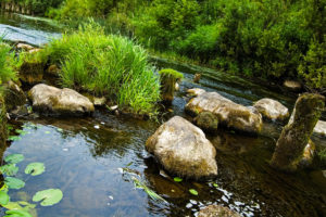 river, Stone, Water, Green, Grass