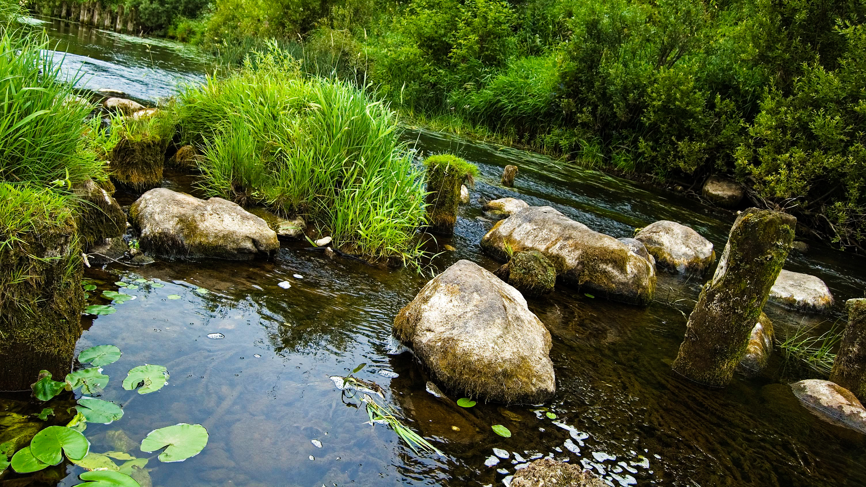 river, Stone, Water, Green, Grass Wallpaper